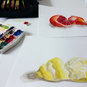 Watercolor still life paintings of blood orange and lemon in artist Angela Faustina's studio.