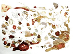 Angela Faustina, Pomegranate I (56), 2009. Watercolor copper etching on paper, 18” by 15”. Private collection.