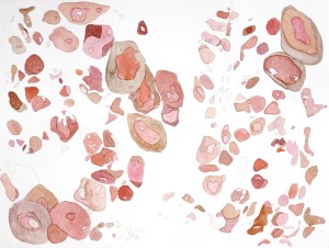 Angela Faustina, Pomegranate II (57), 2009. Watercolored copper etching on paper, 18” by 15”.