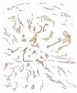 Angela Faustina, Fig segments, 2011. Watercolor on paper, 7.75" by 8.25".