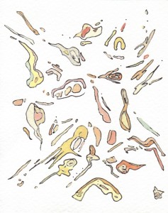 Angela Faustina, Fig segments, 2011. Watercolor on paper, 3.75" by 4.75".