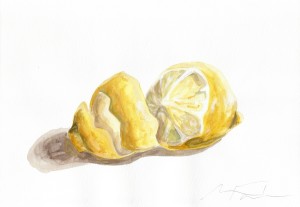 Angela Faustina, Lemon and Lemon Peel study, 2015. Watercolor on paper, 12" by 9". Private Collection.
