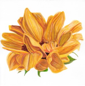 Angela Faustina, Sunflower II study, 2015. Watercolor on paper, 6" by 6". Private Collection.