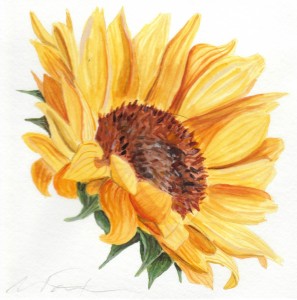 Angela Faustina, Sunflower III study, 2015. Watercolor on paper, 6" by 6". Private Collection.