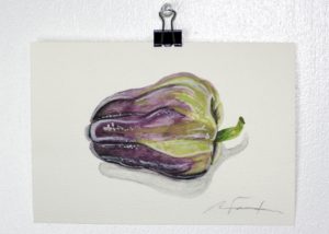 Angela Faustina, Purple Holland bell pepper study, 2016. Watercolor on paper, 5" by 7".