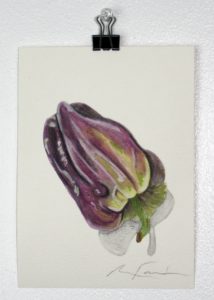 Angela Faustina, Purple Holland bell pepper study, 2016. Watercolor on paper, 5" by 7".