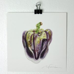 Angela Faustina, Purple Holland bell pepper study, 2016. Watercolor on paper, 6" by 6".