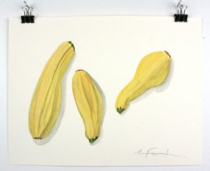 Angela Faustina, Yellow squash watercolor study, 2016. Watercolor on paper, 12" by 9".