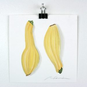 Angela Faustina, Yellow squash watercolor study, 2016. Watercolor on paper, 6" by 6".