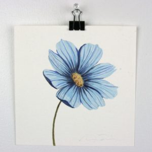 Angela Faustina, Blue Flower study, 2015. Watercolor on paper, 6" by 6".