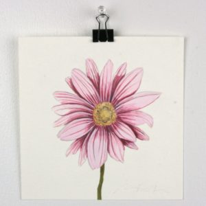 Angela Faustina, Pink Flower study, 2015. Watercolor on paper, 6" by 6".