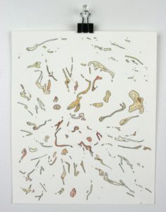Angela Faustina, Fig segments, 2011. Ink and watercolor on paper, 7.75" by 8.25".