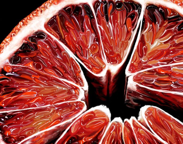 Blood Orange XXIV fine art print Angela Faustina