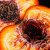 Angela Faustina, PEACH XIII, 2022. Oil on cradled painting panel, 30 by 24. Available for purchase through Angela Faustina's Studio Shop.