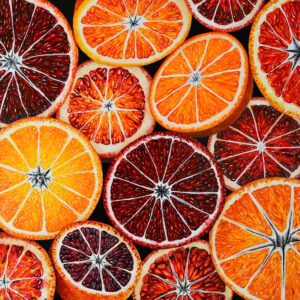 Angela Faustina, CITRUS MEDLEY V, 2023-2024. Oil on cradled painting panel, 24 by 24.