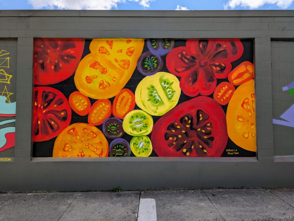 Angela Faustina, HEIRLOOM TOMATO MEDLEY I, 2025. Burnin' Bridges, Chattanooga, TN