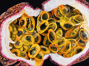 Angela Faustina, PASSION FRUIT I, 2025. Oil on cradled painting panel, 18x24
