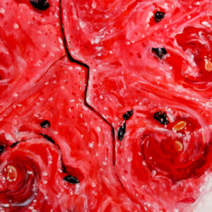 Monthly Print Club Catch Up: June 2026 Watermelon