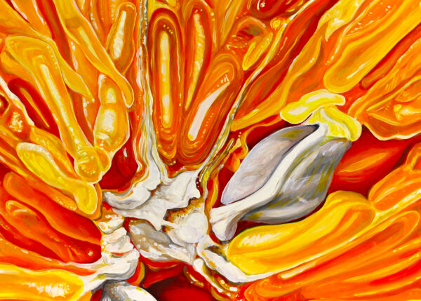 Angela Faustina, ORANGE II 5×7 fine art print