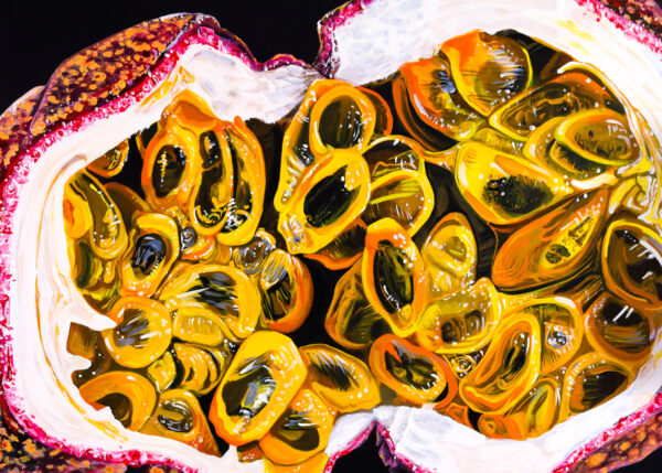 Angela Faustina, PASSION FRUIT I fine art print 5×7