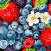 Angela Faustina, BERRY AND BLOSSOM MEDLEY I fine art print, 5x7